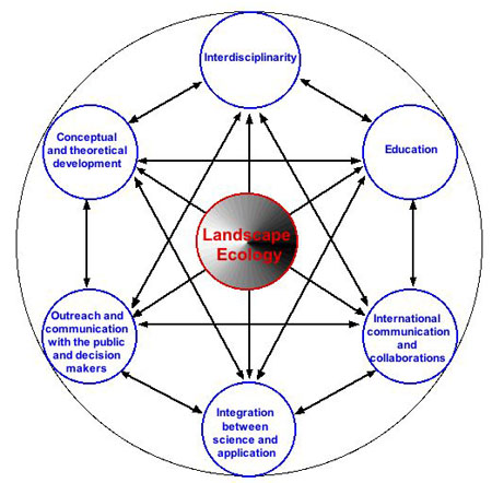 landscape definition ecology